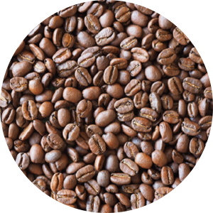 スペシャリティ