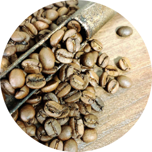 スペシャリティ